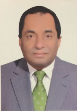 Prof. Dr. Assem El Ammary